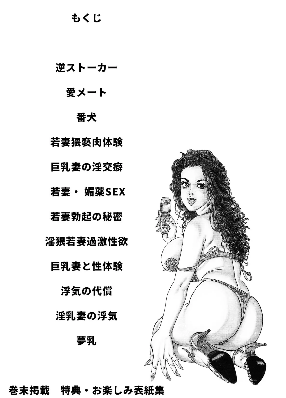 人妻玲子＜お楽しみ表紙集入り特別版＞・つつみ進官能コレクション 2ページ