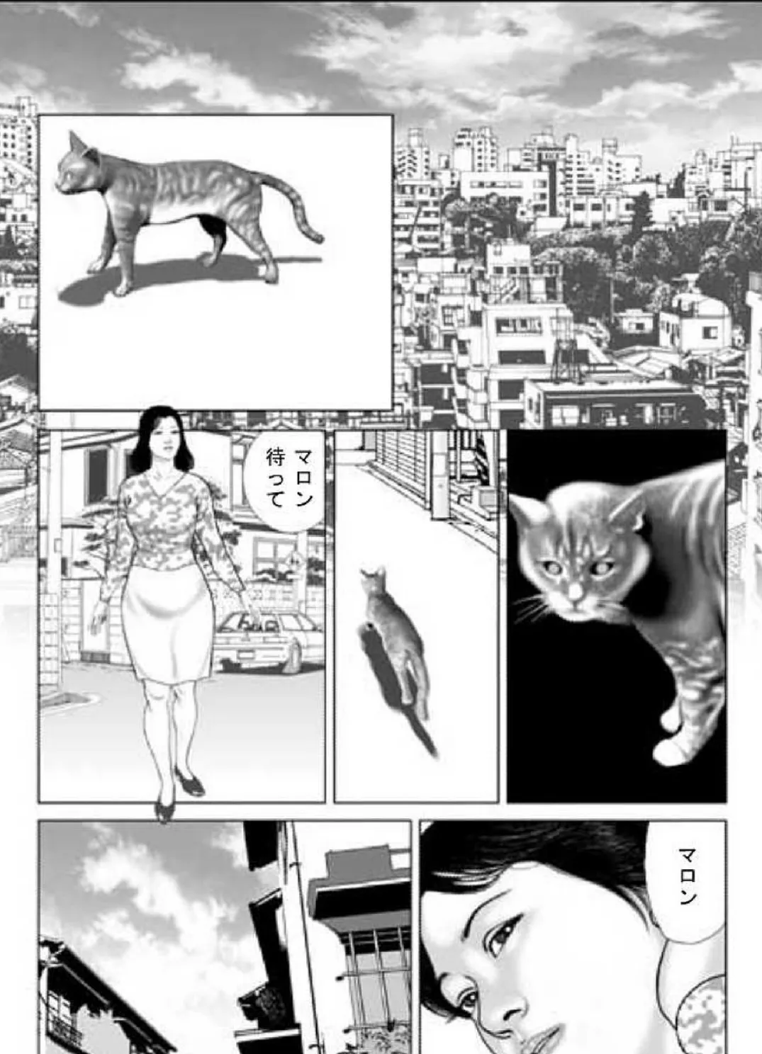 人妻スキャンダルシリーズ(6) 猫を飼う女 2ページ