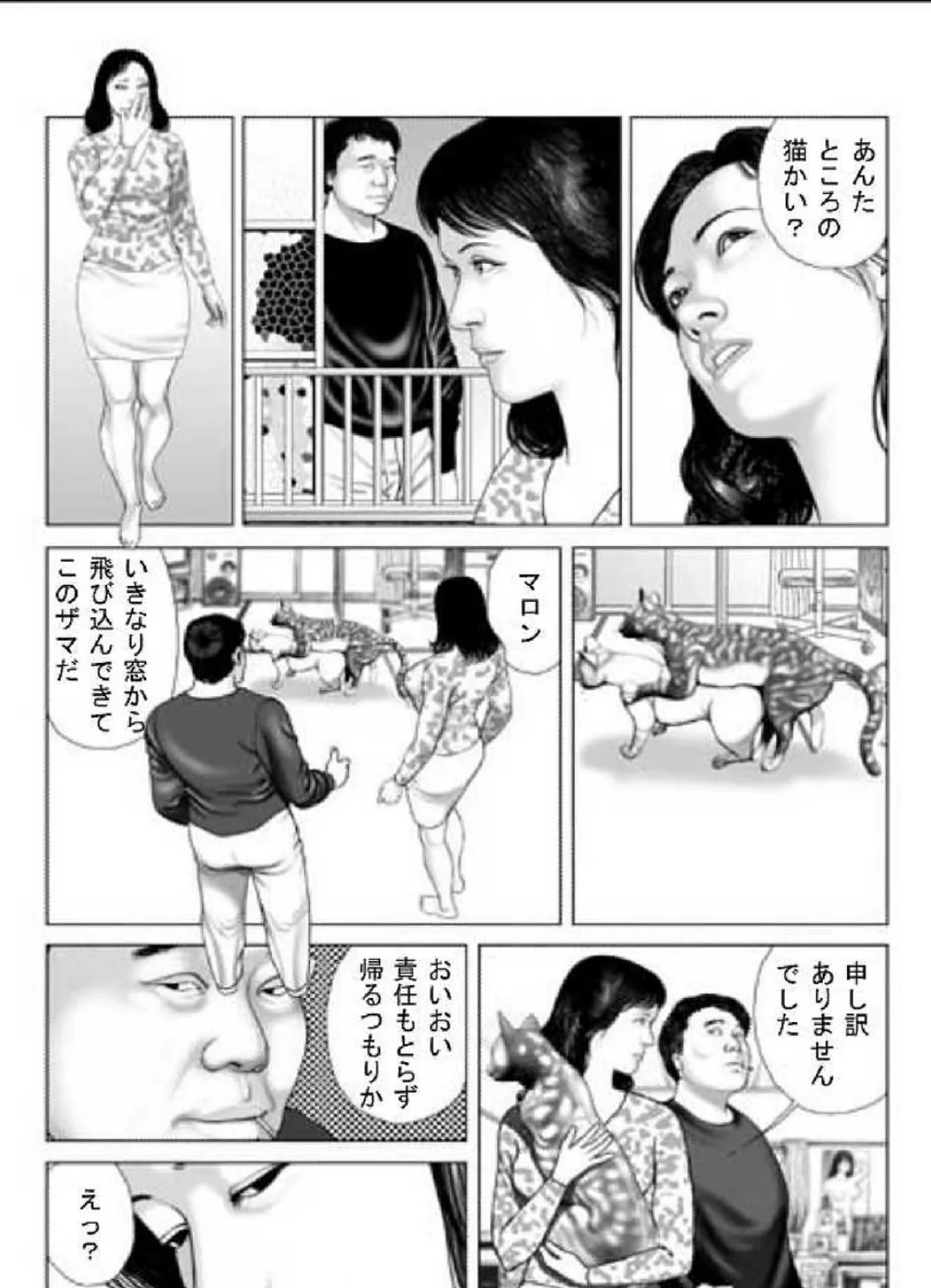 人妻スキャンダルシリーズ(6) 猫を飼う女 3ページ