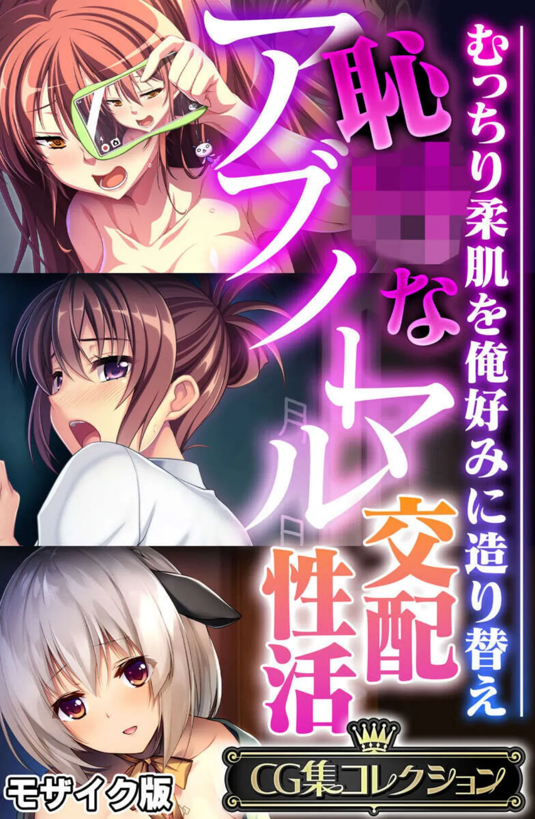 恥●なアブノーマル交配性活 〜むっちり柔肌を俺好みに造り替え〜【CG集コレクション】 モザイク版