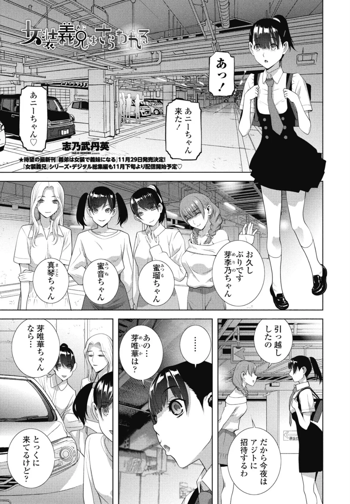 女装義兄はさらわれる